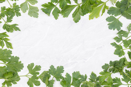 Parsley leaf frame with copy space