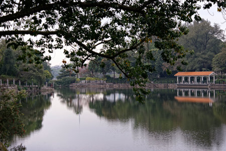 Serene reflection of trees and sky in a calm lake surrounded by nature and greeneryの写真素材