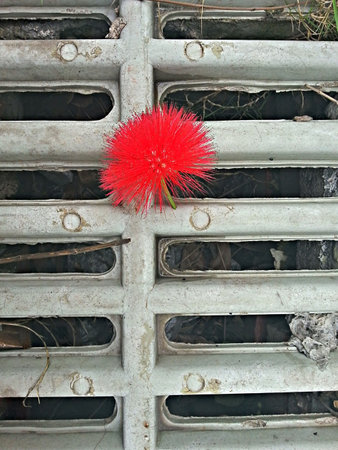 A wooden door with red and white floral patterns against a weathered wood textureの写真素材