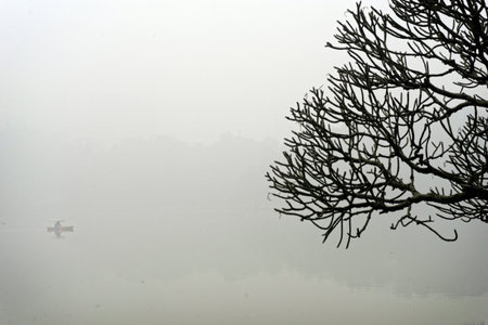 Bare black branches silhouette white trees in cold winter fogの写真素材