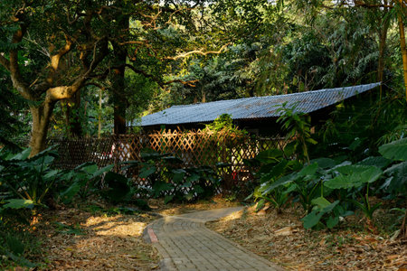 Wooden house in the autumn forest with trees and fallen leaves along a peaceful pathの写真素材