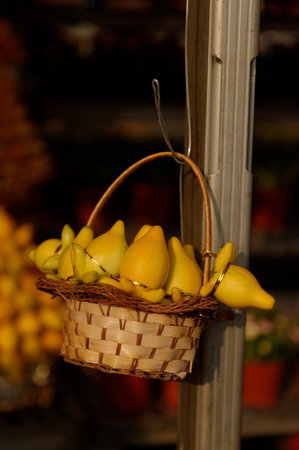 A basket of fresh fruits on the grass, perfect for a healthy holiday or harvest decorationの写真素材