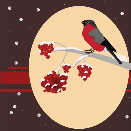Christmas Bullfinch on a branch of rowanのイラスト素材