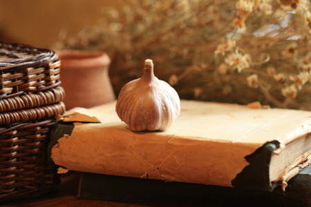 retro old book garlicの写真素材