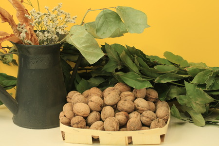 walnuts tasty good food health basket nuts