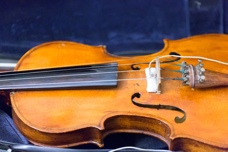 violinの写真素材