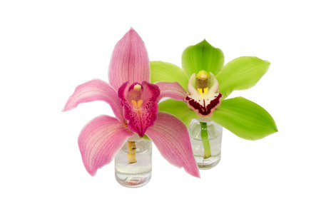 Orchid flowers in glass bottles isolated on white backgroundの写真素材