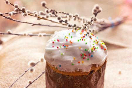 Easter cake willow branches spring retro vintage selective soft focusの写真素材