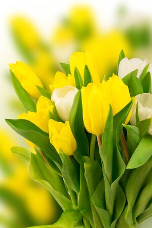 bouquet of tulips mother birthday gift valentine spring background selective soft focus toned photoの写真素材