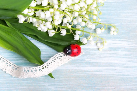 ladybug spring summer lily of the valley painted wood selective soft focusの写真素材