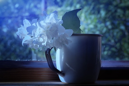 jasmine flower in an enamel mug on a window moonlight nightの写真素材