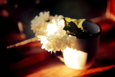 jasmine flower in an enamel mug on a window sunsetの写真素材