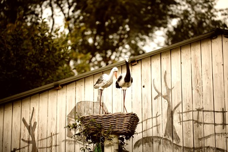 storks nest autumn garden statues family loveの写真素材