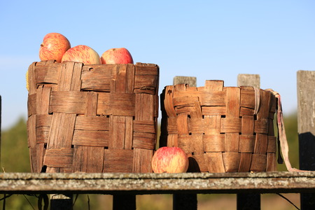 apples in a wicker basket old retro vintage rustic style summer autumnの写真素材