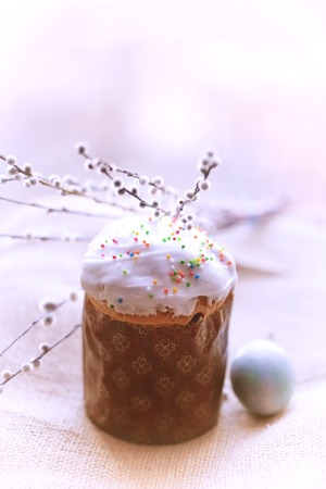 Easter cake willow soft selective focus gentle backgroundの写真素材