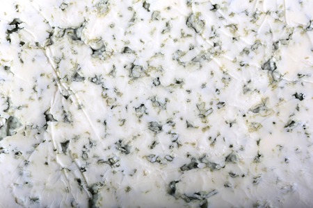 blue cheeseの写真素材