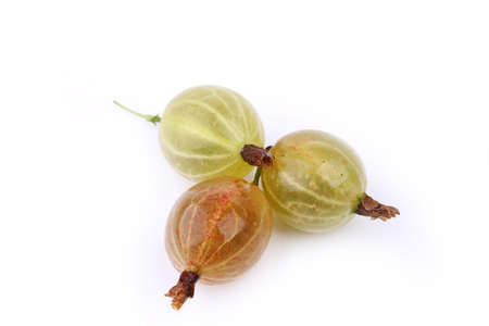 Gooseberry isolated on white backgroundの写真素材