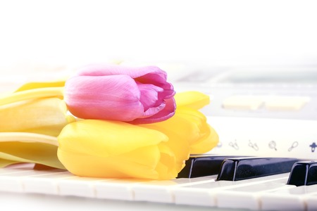 piano keys Tulip flowers gentle spring retro vintage style music backgroundの写真素材