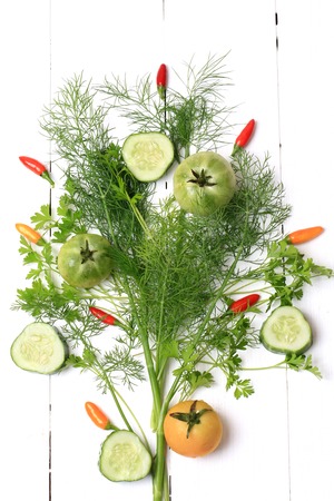 Cover for a cookbook magazine dill and coriander chilli tomato cucumber on white wooden background style flat top viewの写真素材