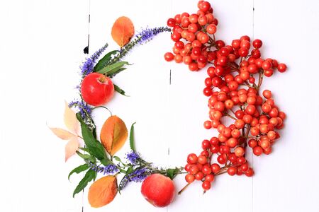 Autumn wreath decorated with berries fruits leaves and flowers on white wooden background view from aboveの写真素材