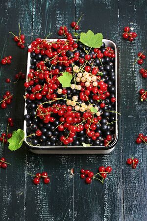 fresh berries currant useful for heart healthy mix of redcurrant blackcurrant white currantの写真素材