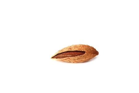 Almond in shell isolated on white background