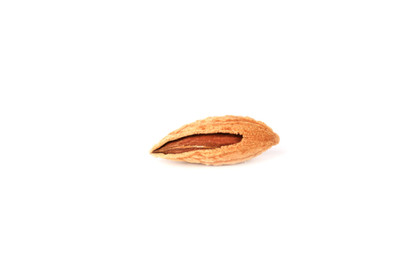 Almond in shell isolated on white backgroundの写真素材