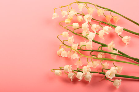lilies of the valley on a pink backgroundの写真素材