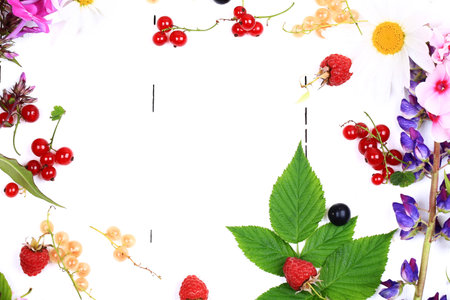 Fresh berries and flowers. Summer background place for textの写真素材