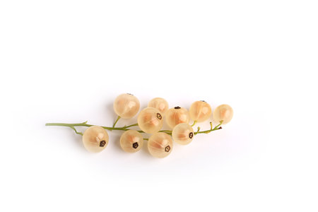 White currants isolated on a white background