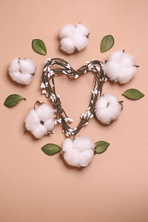 natural creative pastel concept. Cotone flowers on a beige background