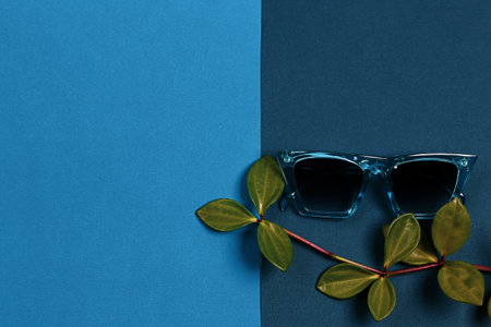 summer sunglasses on blue background with plant branchの写真素材
