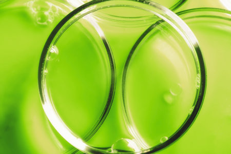 Abstract medical cosmetology green background from glass petri dishes.