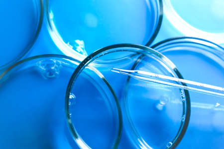 Medical abstract background. Petri dishes and glass pipette.の写真素材
