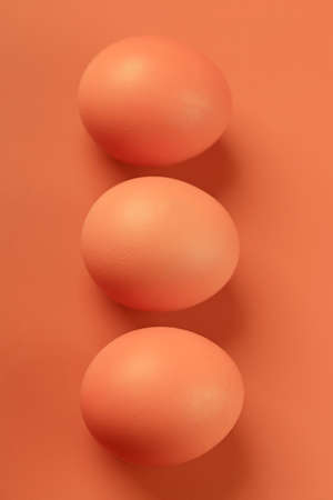 chicken egg on a beige background. Three brown eggs. Easter minimalistic concept.の写真素材