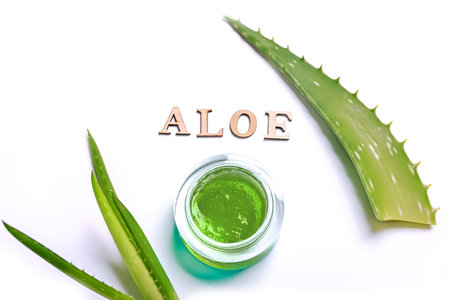aloe leaf on a light background. Natural cosmetics and treatmentsの写真素材