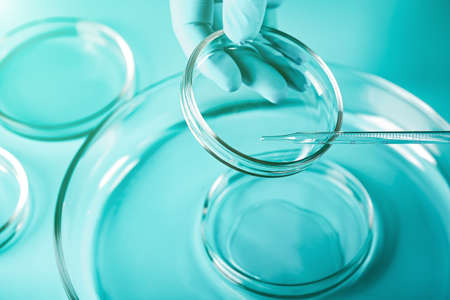 Medical abstract background. Petri dishes and glass pipette.の写真素材