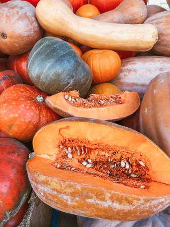 pumpkins on the counter of the farmers market. Autumn harvest of pumpkinsの写真素材