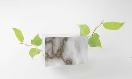product display marble podium with nature leaves background. 3D rendering.の写真素材