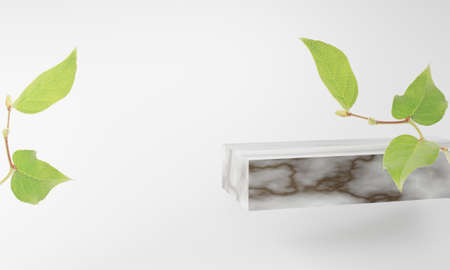 product display marble podium with nature leaves background. 3D rendering.の写真素材
