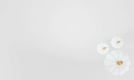 3D render. Autumn background. 3 white and gold pumpkins. Set of three pumpkins. Flat style top view. 3d illustrationの写真素材