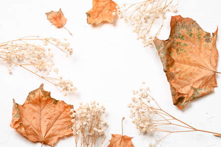 Autumn composition. Dried leaves, flowers on white background. Autumn, fall, thanksgiving day...