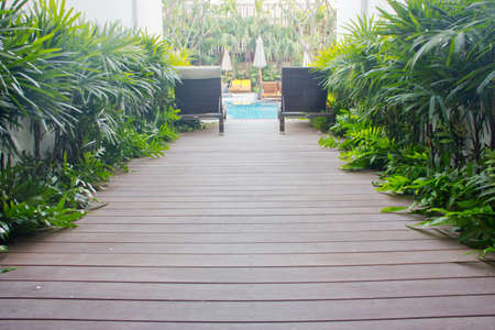 Path to the pool.の写真素材