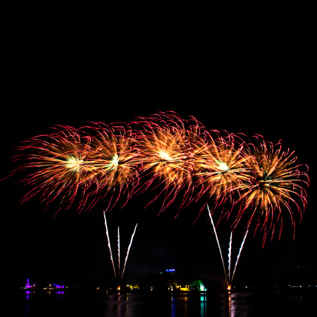 Colorful firework in a night sky