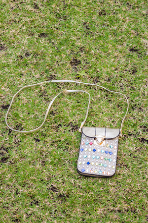 Fashion bag on the green grassの写真素材