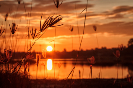 sunset with grass on the lakeの写真素材