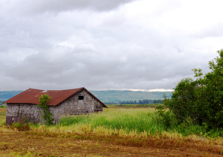 Old shack in the field-Stock Photosの写真素材