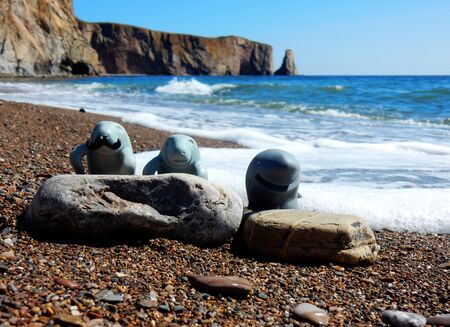 Manfred the manatee his father and his cousin with a view of the Perce Rockの写真素材