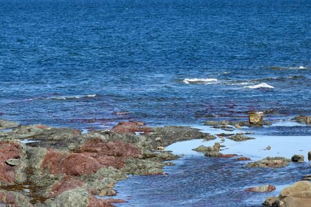 blue sea and rocksの写真素材