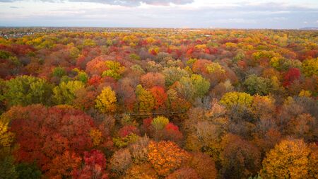 Aerial view of the colorful autumn leaves and a cloudy skyの写真素材
